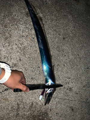 沖堤アジング＆ワインド