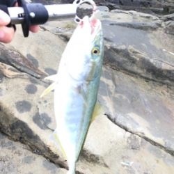 ショアジギング