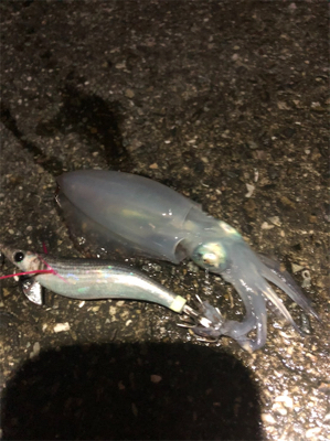 台風の影響か‥