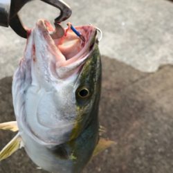 誕生日プレゼント??