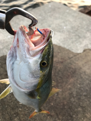 誕生日プレゼント??