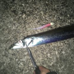 転勤後初釣行にて