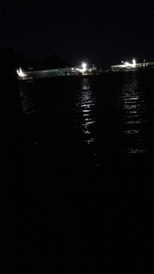 焼津でルアーで太刀魚