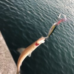 昨日のリベンジ