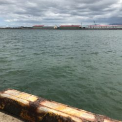 釣れる迄帰れません!