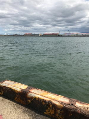 釣れる迄帰れません!