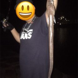 初心者ワイワイガシリング♪GUNNING-STYLE