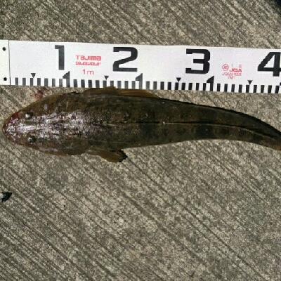 フラット連発❗❗