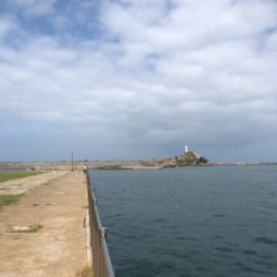 寒いのち暑い。