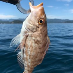 マイボートではじめてのポイントへ