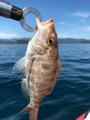 マイボートではじめてのポイントへ