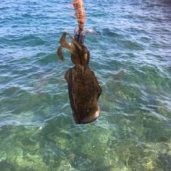 少しずつサイズアップ