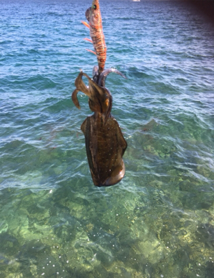 少しずつサイズアップ