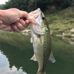 午後からボート釣行
