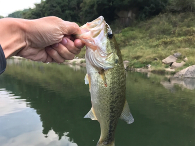 午後からボート釣行