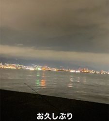 《久々にミニ波止へ》