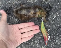 いつものところで