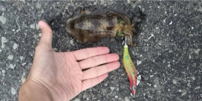 いつものところで