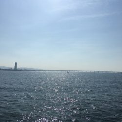 まだまだ釣れる