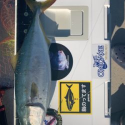 ツバスシーズン終盤泣きの1尾