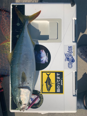 ツバスシーズン終盤泣きの1尾