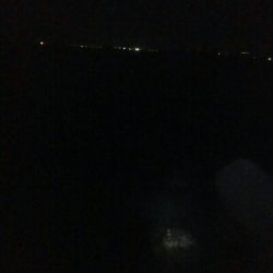 記録更新！アオリイカ118杯！！