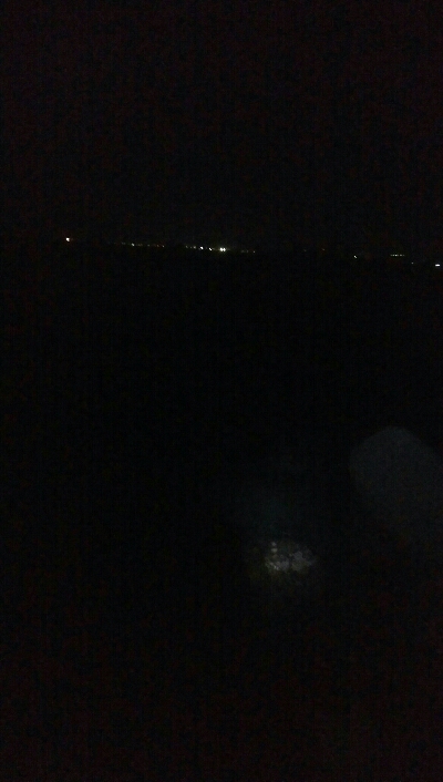 記録更新！アオリイカ118杯！！