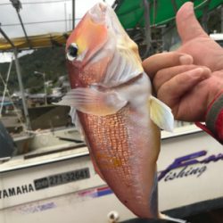 知り合いの船でアマダイ狙い！