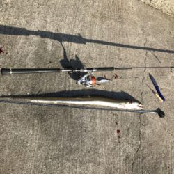 デカ太刀魚かと思いきや…。