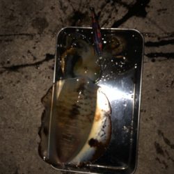 前回のリベンジ