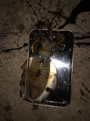 前回のリベンジ