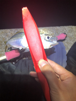 夕まづめ場所がよかった！？