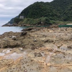 台風前エギング