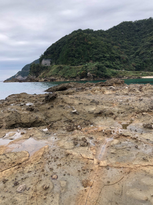 台風前エギング