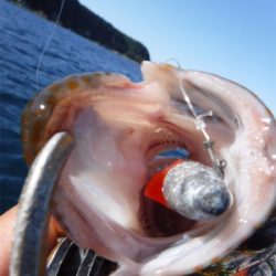 カヤックフィッシング