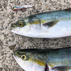 台風前になんとか。。