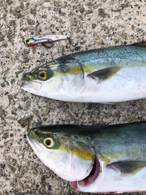 台風前になんとか。。