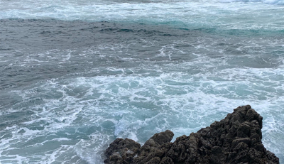 サラシからハマチ連発