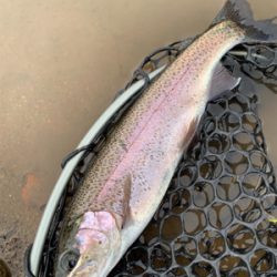 名前の通りビッグファイトです！