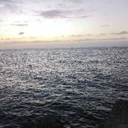 ドラゴンゲット