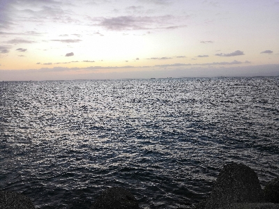 ドラゴンゲット