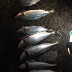 台風後は調子良かったです