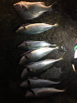 台風後は調子良かったです