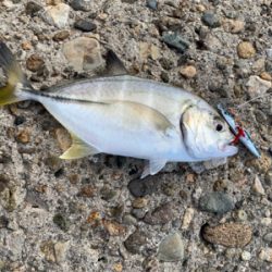 早起きしましたけど！