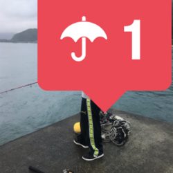 爆風とそれなりに爆釣