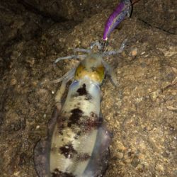 台風前に女神に逢いに♡