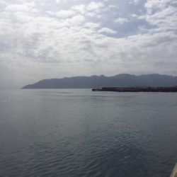 加治木港のチヌ釣り