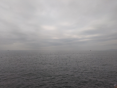 太刀魚、青物は何処？