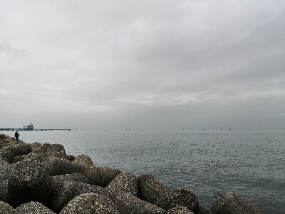 ハマチと太刀魚