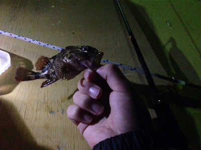 台風一過のライトゲーム